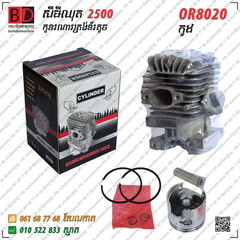 8020 BD